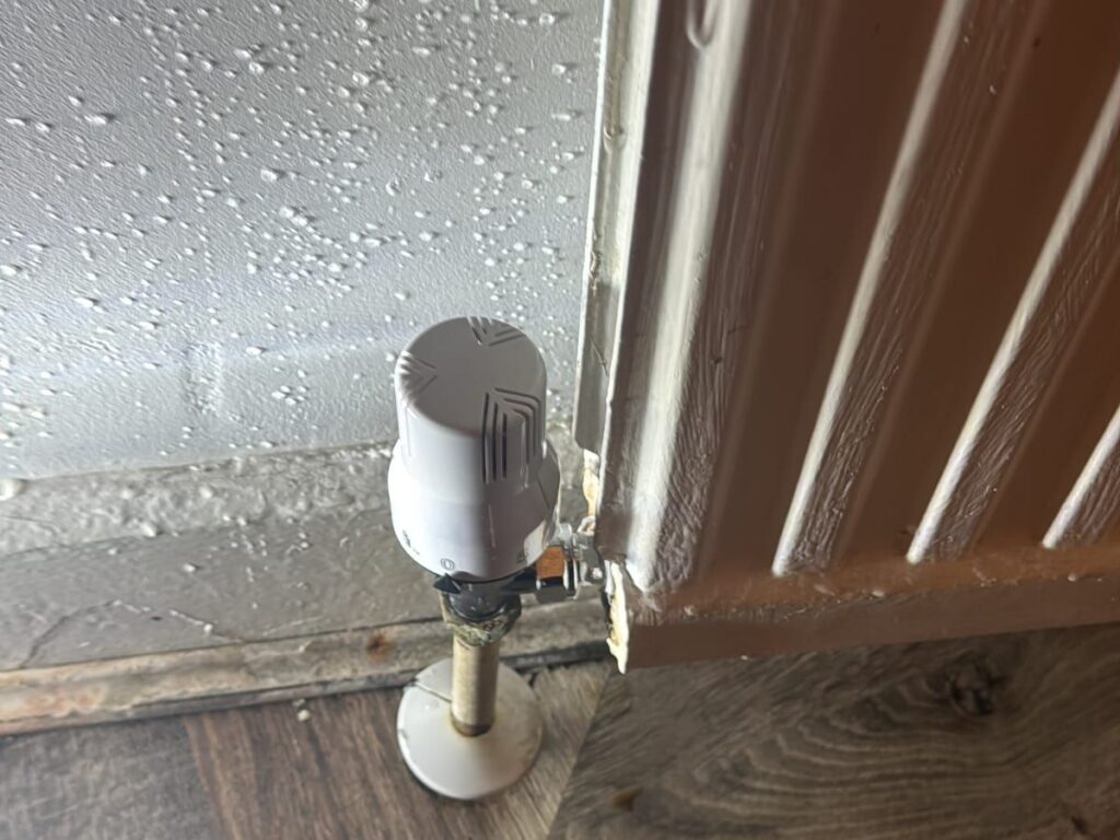 Newly fitted thermostatic radiator valve connected to a radiator tail.